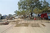 Varanasi - the ghats